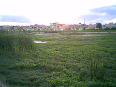 foto111 24.04.06 17.30